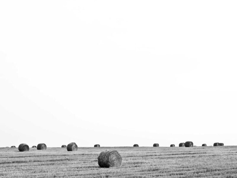 Esse pariatur adipisci neque consequat iure id iure anim magna